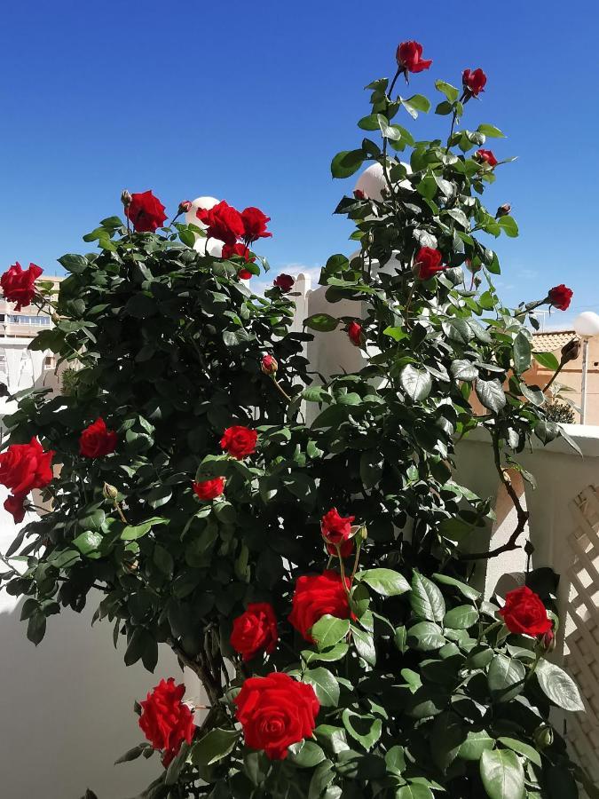 Costamar Playa Arenales Del Sol Lejlighed Eksteriør billede